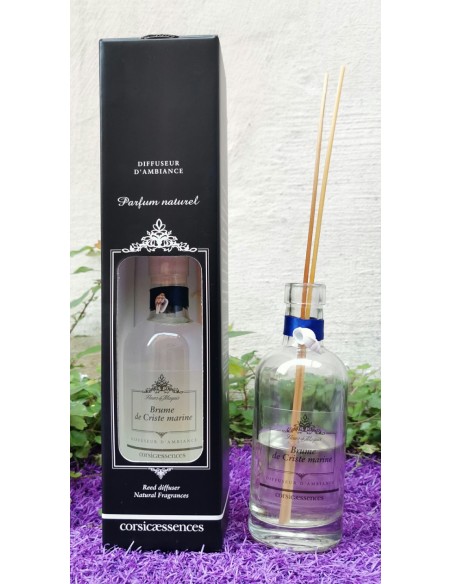 Parfum d'intérieur Criste Marine XL