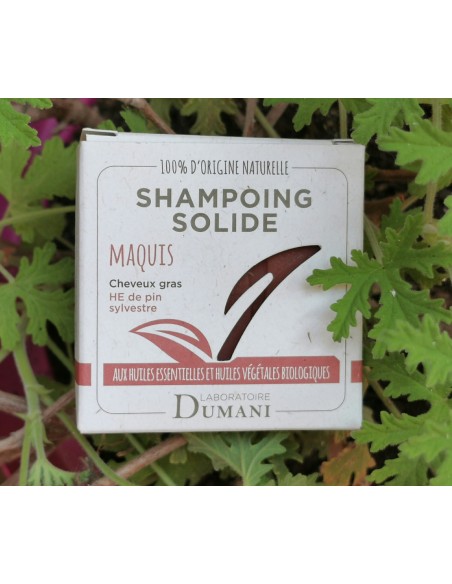 Shampooing solide cheveux gras