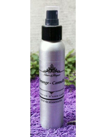 Spray d'ambiance orange cannelle