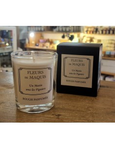Bougie parfumée "sous le figuier"